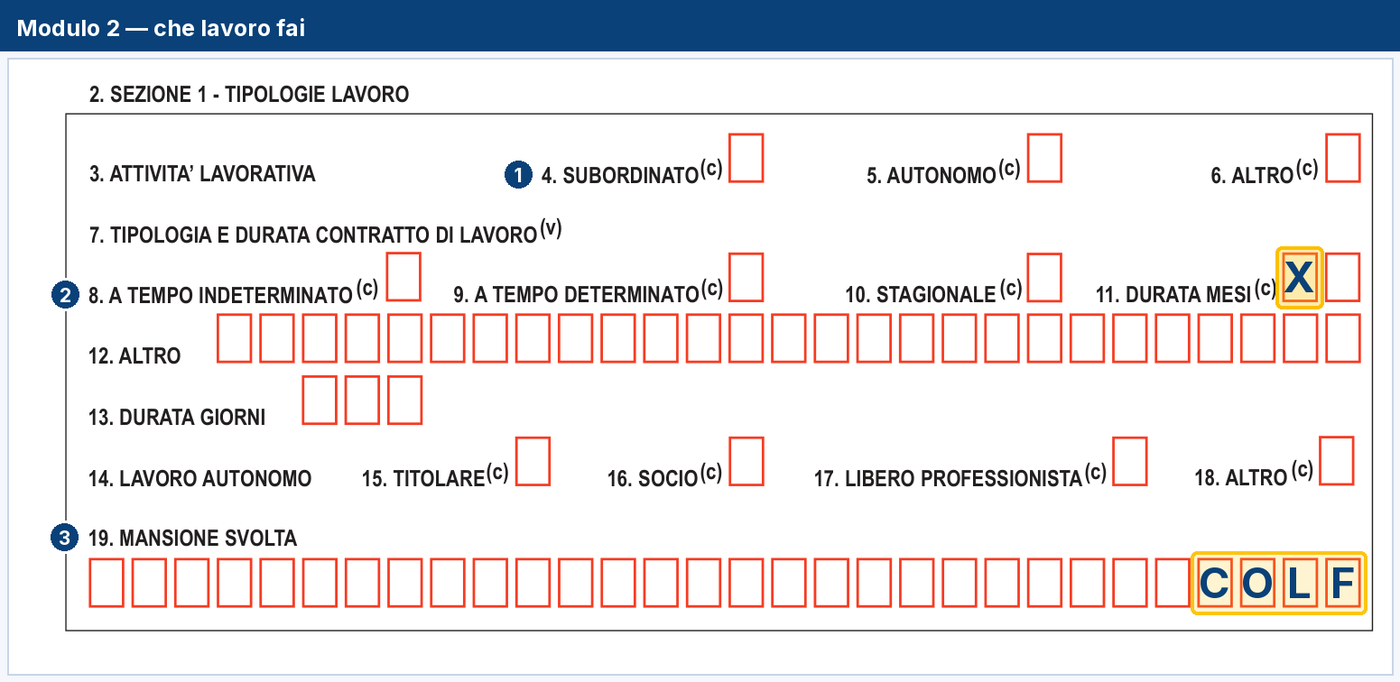 Il Modulo 2, sezione del tipo di lavoro: subordinato, contratto a tempo indeterminato, mansione